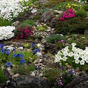 Alpinum – cvijetni vrt